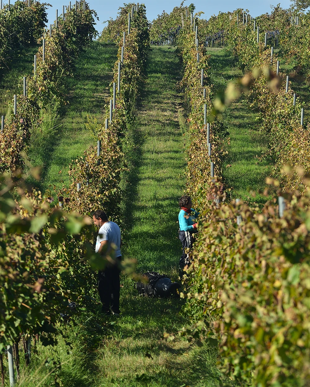 Off-road wine experience